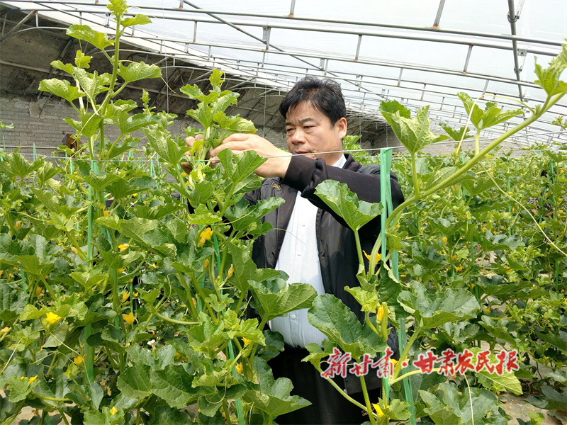 华亭：培育特色产业 厚植致富根基