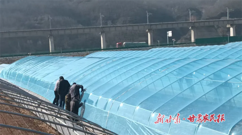 华亭：大棚换“新衣” 果蔬更甜蜜