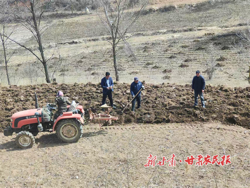 华亭：产业兴旺“春意闹”