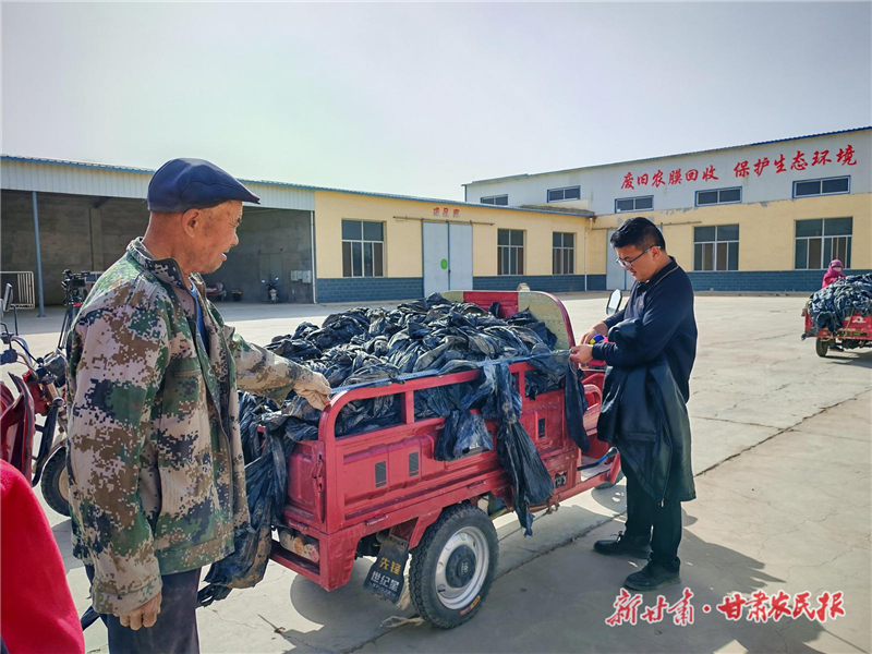 民勤县:做好废旧地膜回收 助力农业绿色发展
