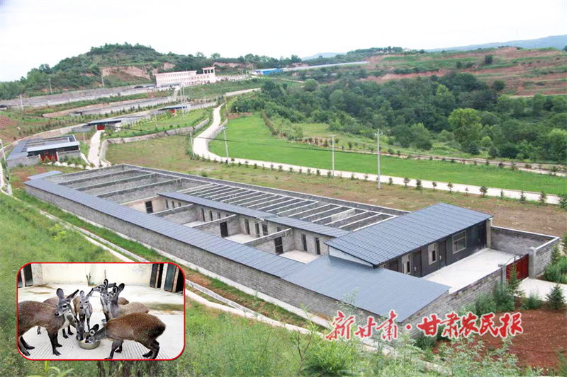 华亭：构建产业振兴格局 擘画乡村振兴新图景