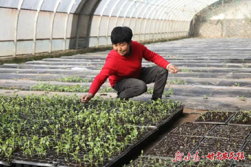 兰州:税惠春风拂面来   助力春耕正当时