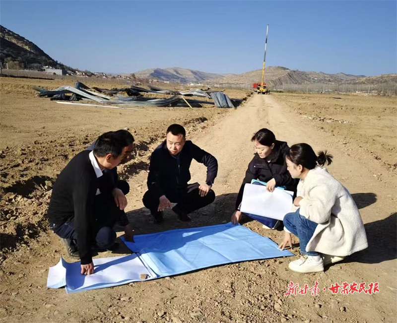 庄浪：产业升级育出振兴“薯”