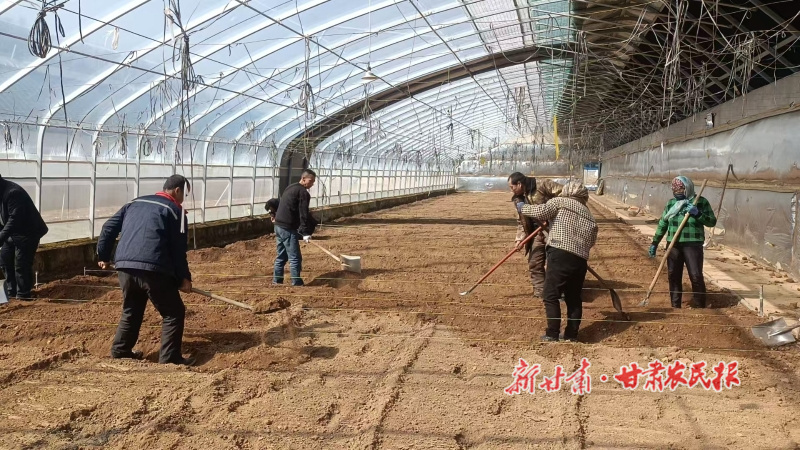 华亭：棚里兴产业“蔬”写好“丰景”