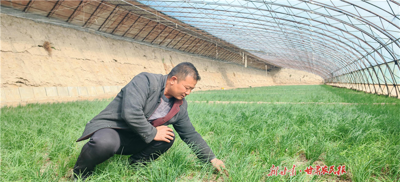 民勤：戈壁滩上绽放节水农业&ldquo;绿色奇迹&rdquo;
