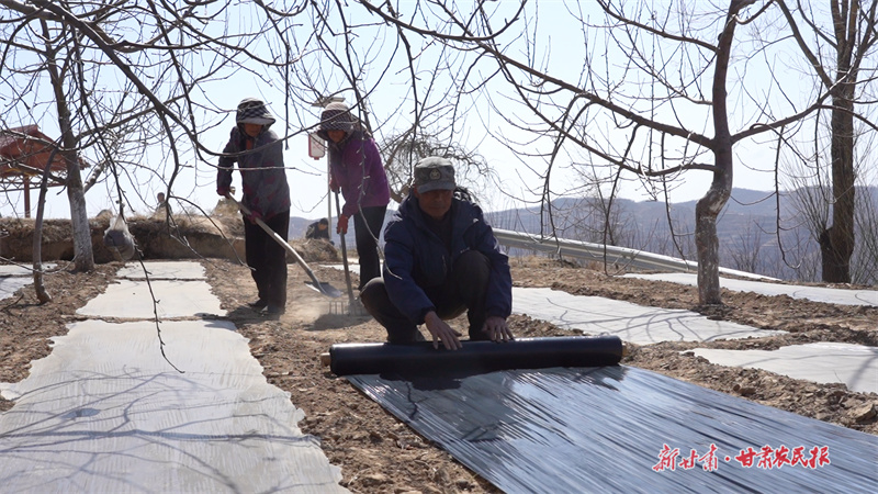 静宁：万象&ldquo;耕&rdquo;新不负春
