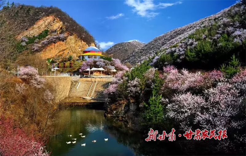 华亭：春织绿意梦 绘就生态景