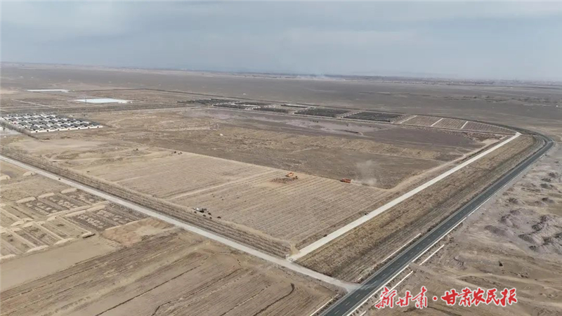 永昌县南坝乡何家湾村的“点石成金”记