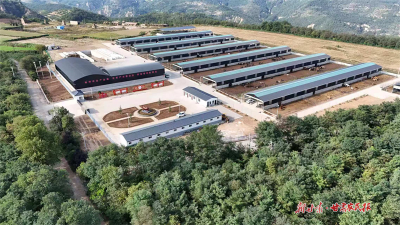 泾川：壮大特色产业 推动农业全链条升级