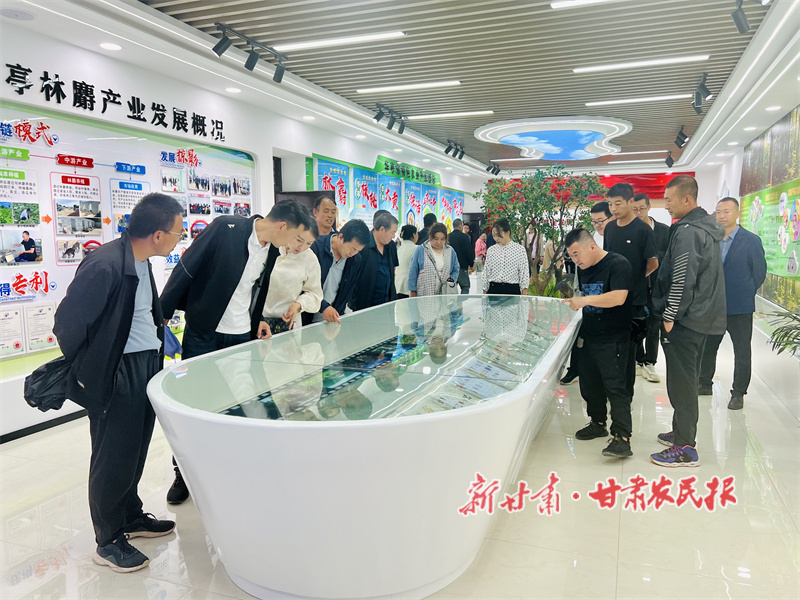 华亭：林麝养殖“钱途好”增收致富“香饽饽”