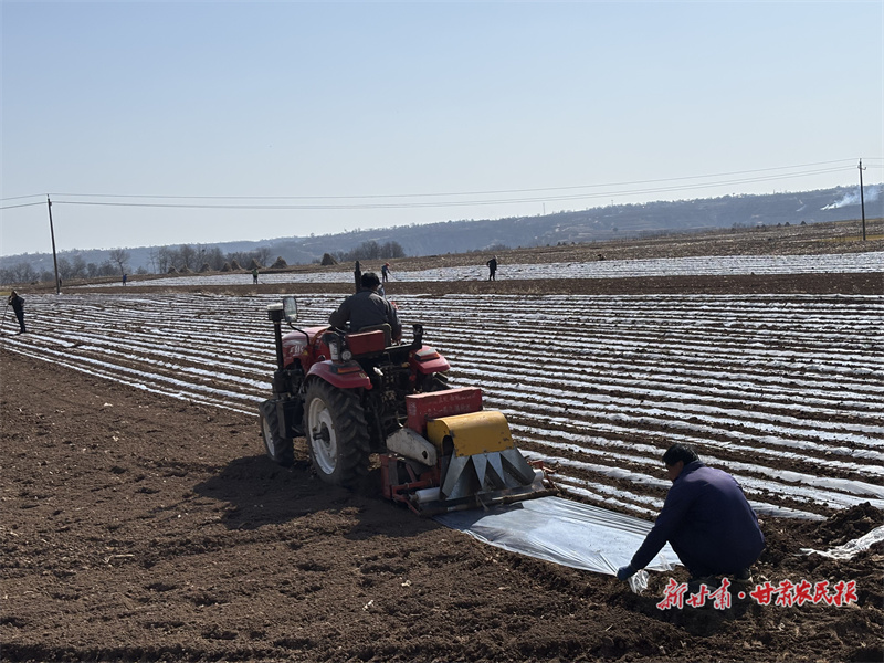 追着春光忙农事&mdash;&mdash;灵台县春耕生产工作见闻