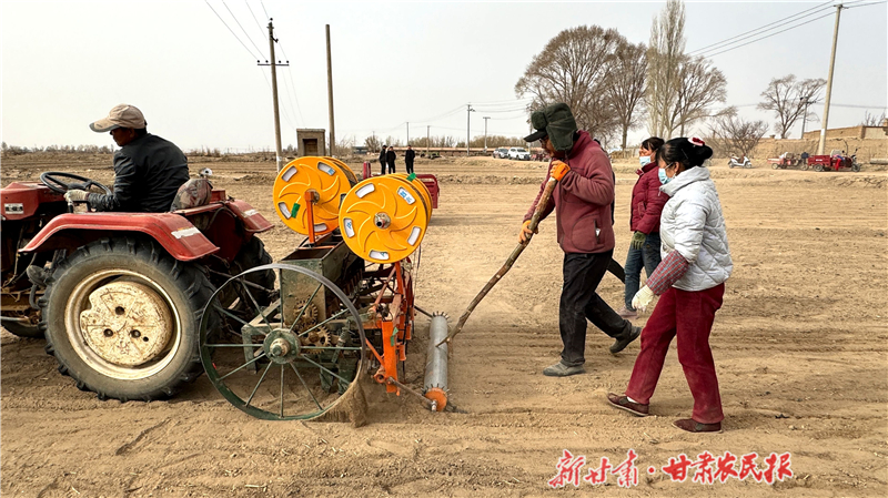 民勤：浅埋滴灌让小麦喝上“精准茶”