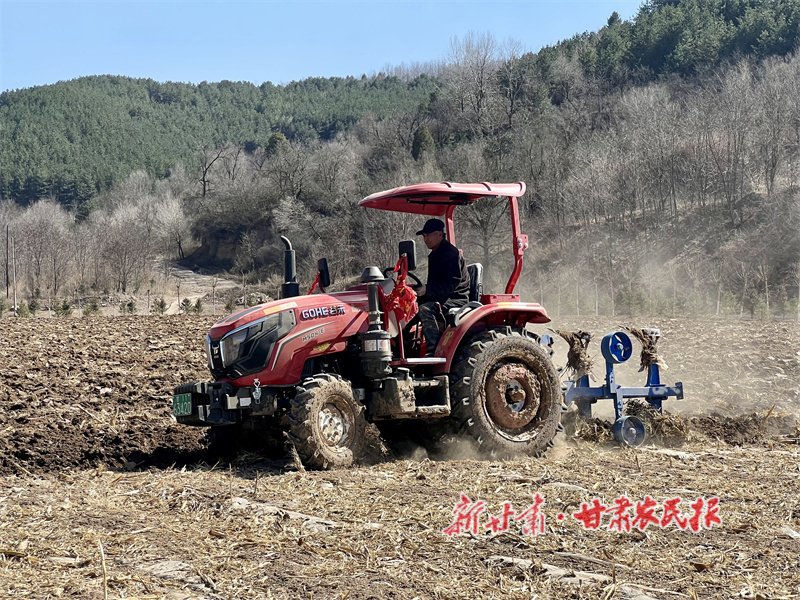 华亭：以“耕”为笔绘丰年 以“护”为基筑粮安