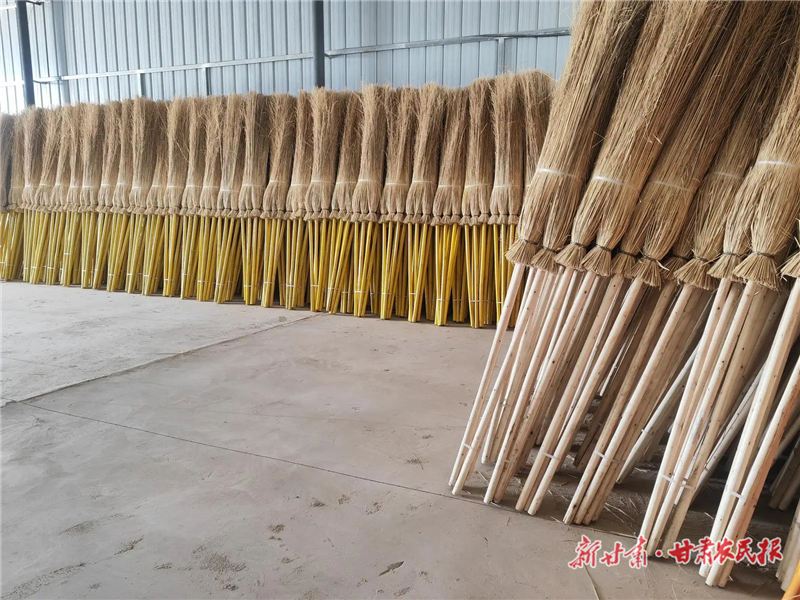 永昌：芨芨草变&ldquo;致富草&rdquo;