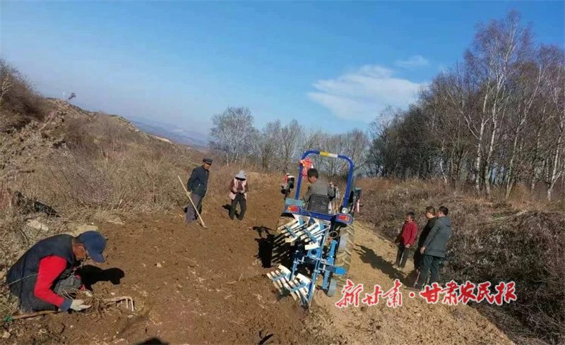 华亭：不负春光忙春耕 绘就一年好“丰”光