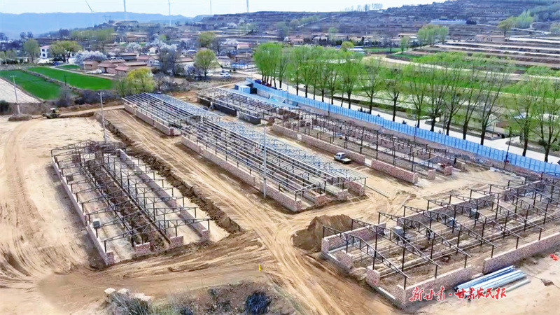 崇信这个牛场建设正酣