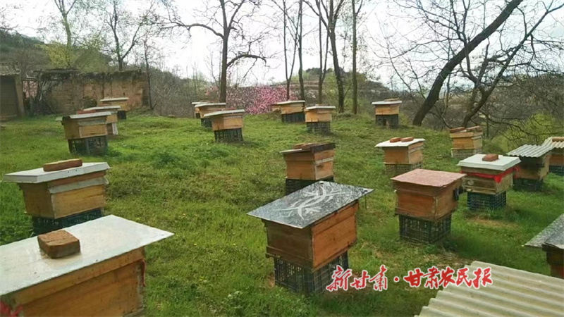 华亭：产业赋能鼓起农民增收“钱袋子”