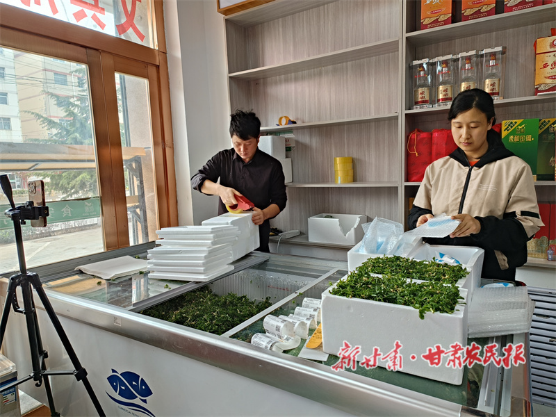 华亭：“野菜经济”让群众乐享生态“红利”