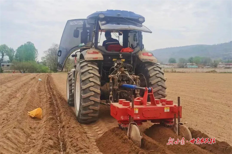 崆峒区：山药成农民增收“金疙瘩”