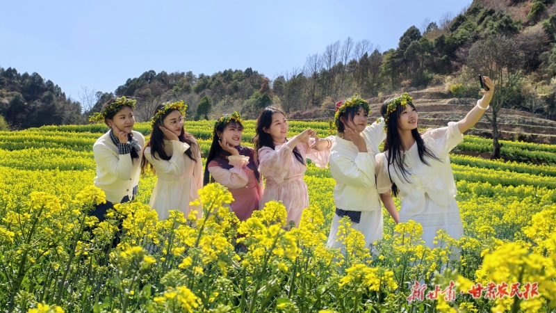油菜花开了