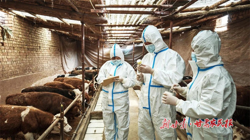 临洮：筑牢春季防疫屏障护航养殖安全