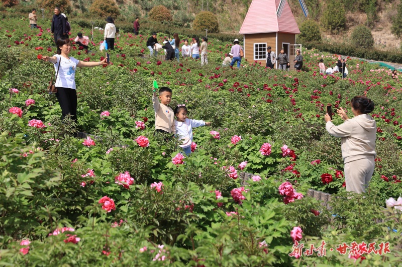 武都区南山公园牡丹园