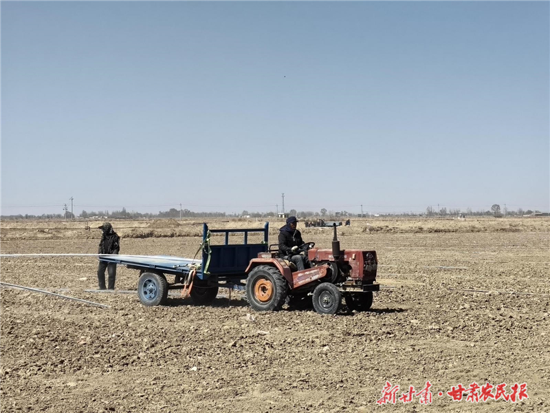 &ldquo;连体拱棚+智慧滴灌&rdquo;！解码民勤蜜瓜四季供应密码
