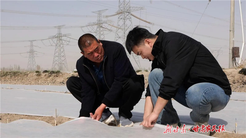 永昌：新&ldquo;膜&rdquo;法 开辟蔬菜种植新路径