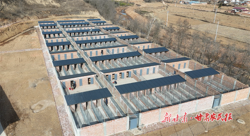 华亭：“项”上发力争春光 跑出发展“加速度”