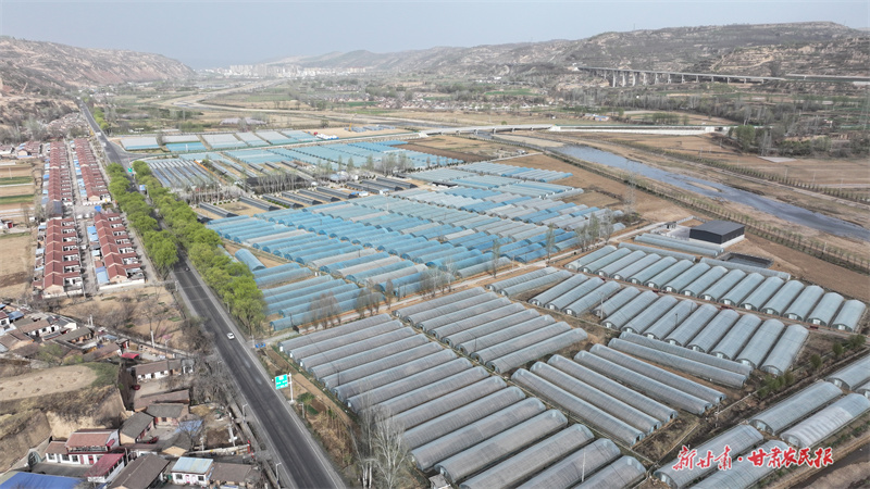 庄浪：万亩梯田铺展“春耕图”