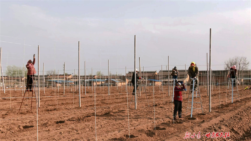 从老果园到&ldquo;智慧园&rdquo;&mdash;&mdash;泾川县苹果产业转型升级见闻