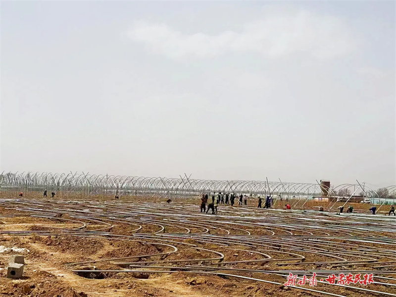 灵台:从传统耕作到&ldquo;数字种田&rdquo;