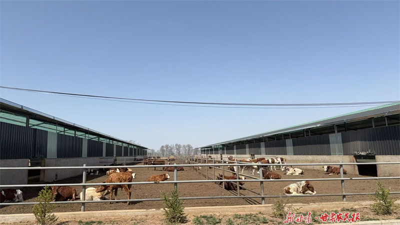 泾川：&ldquo;创新驱动&rdquo;推进现代农业提质增效