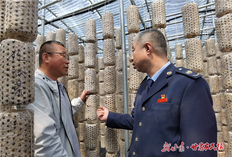 庆阳：&ldquo;税动力&rdquo;激活 &ldquo;三元双向&rdquo;循环农业新动能