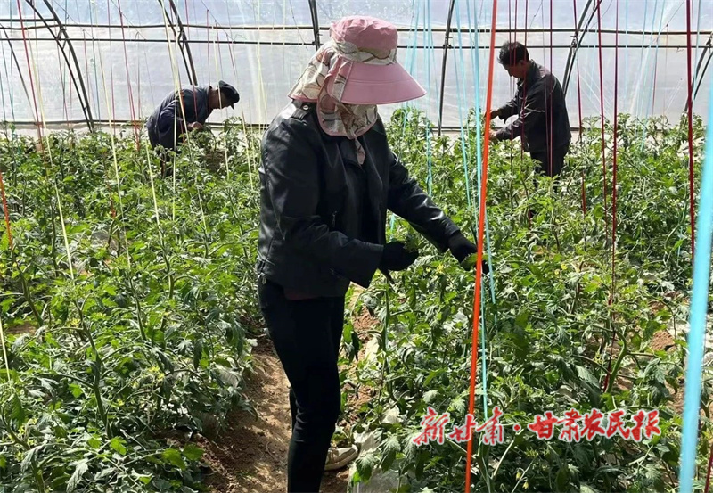 华亭：产业“金钥匙”打开乡村振兴“幸福门”