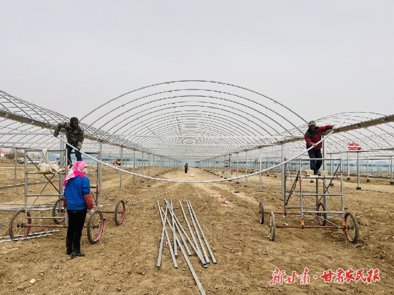 凉州区：瓜菜产业园&ldquo;火力全开&rdquo; 奏响乡村振兴奋进曲