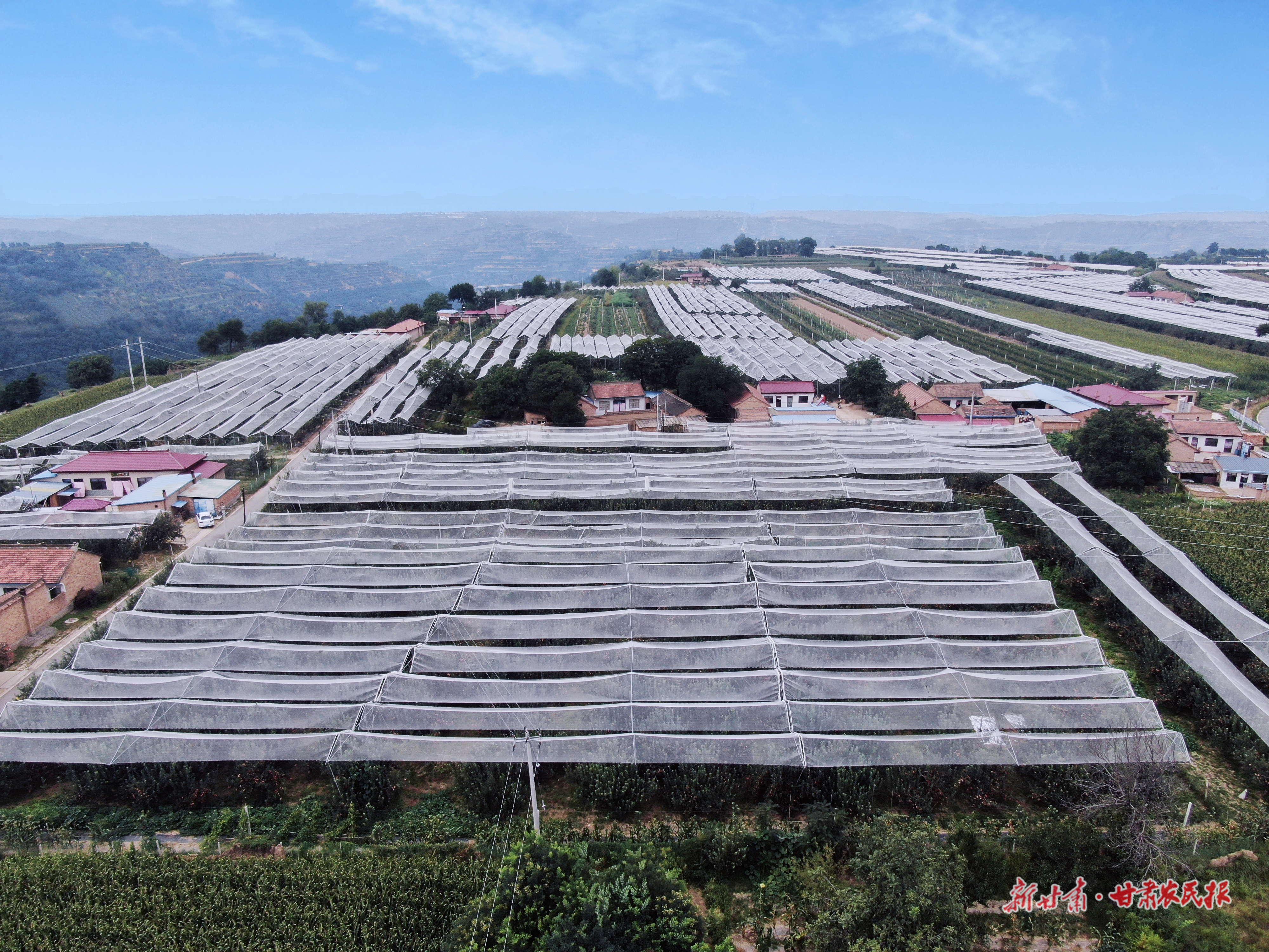 从一棵苗到一条链&mdash;&mdash;庆城县白马铺镇&ldquo;七好&rdquo;体系引领苹果高质量发展