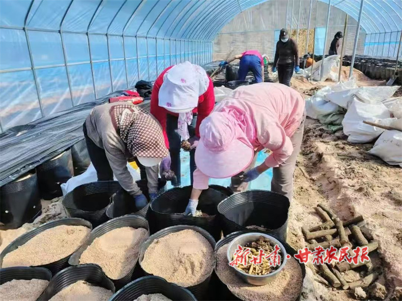 华亭：特色产业铺就富民之路