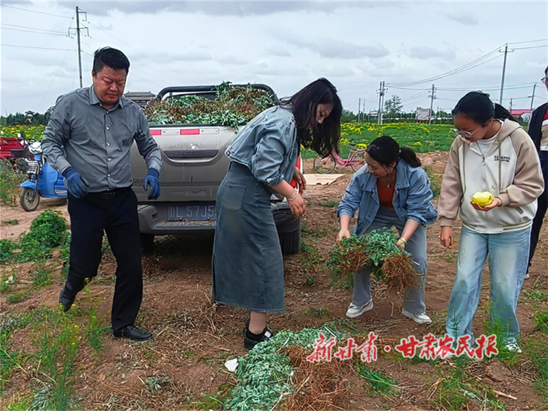 华亭：绿色转型书写乡村振兴新篇章