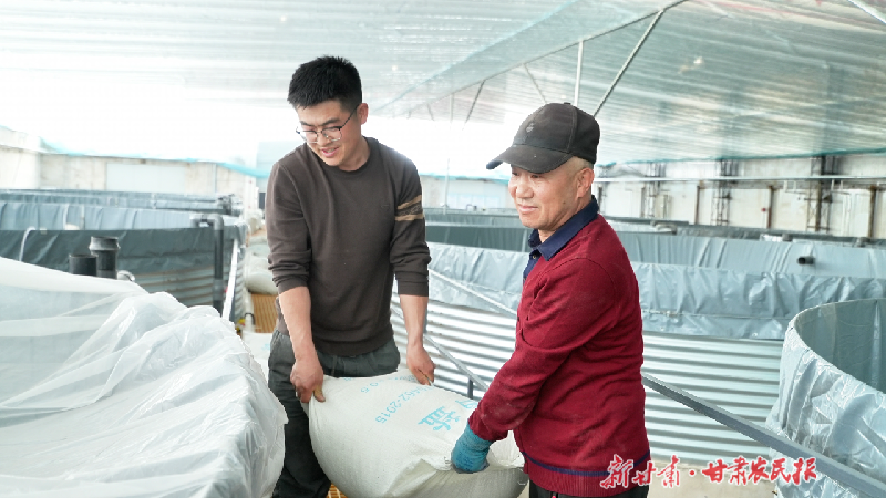 戈壁滩上&ldquo;养&rdquo;出活海鲜！金昌本地产首批南美白对虾预计6月上市