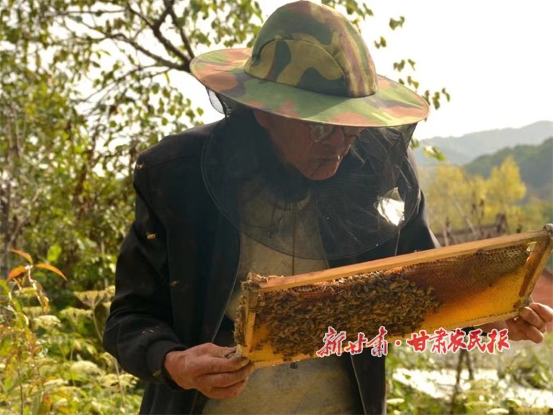 华亭：养好小蜜蜂致富“甜蜜蜜”