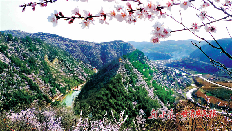 华亭：借助生态优势“绿”上谋发展