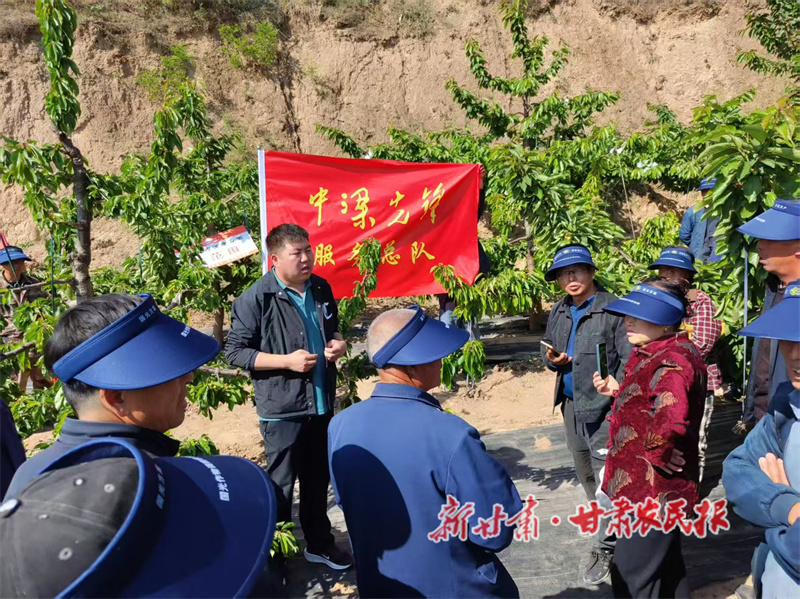 “党旗红”引领“产业兴”——秦州区中梁镇先锋服务队定制化送技稳产增收