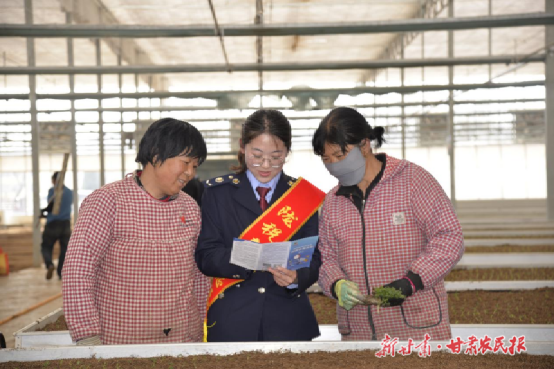 定西：以税为&ldquo;笔&rdquo; 点睛乡土特色品牌