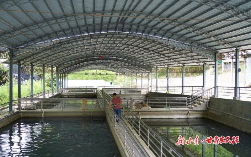 康县：“芋鱼搭档”让康南小镇焕发活力