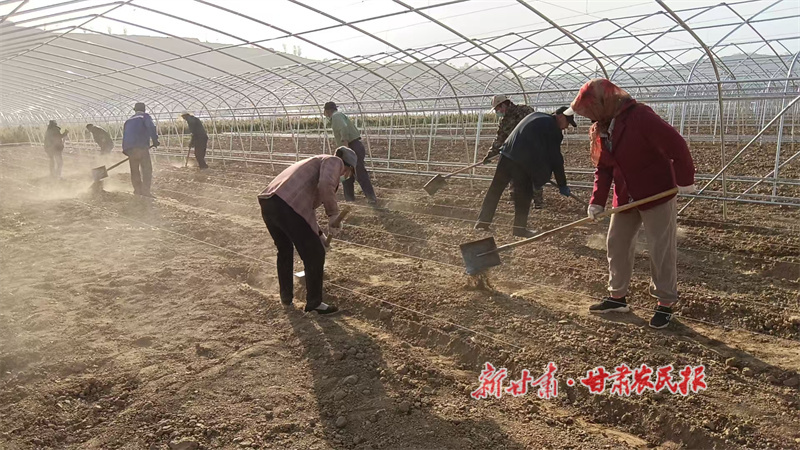 华亭：大棚架起致富桥，技术销路双护航