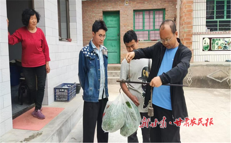 华亭：打开山野菜销售新路子 鼓起群众增收致富钱袋子