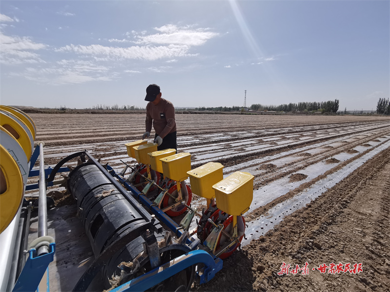 戈壁滩长出&ldquo;数字棉花&rdquo;&mdash;&mdash;瓜州县南岔镇5万亩棉田的智能转型