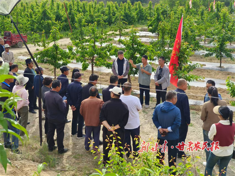 秦州区中梁镇：农民党员充电赋能显担当