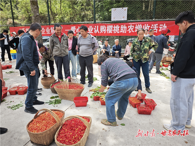 樱桃园里的“私人定制”
